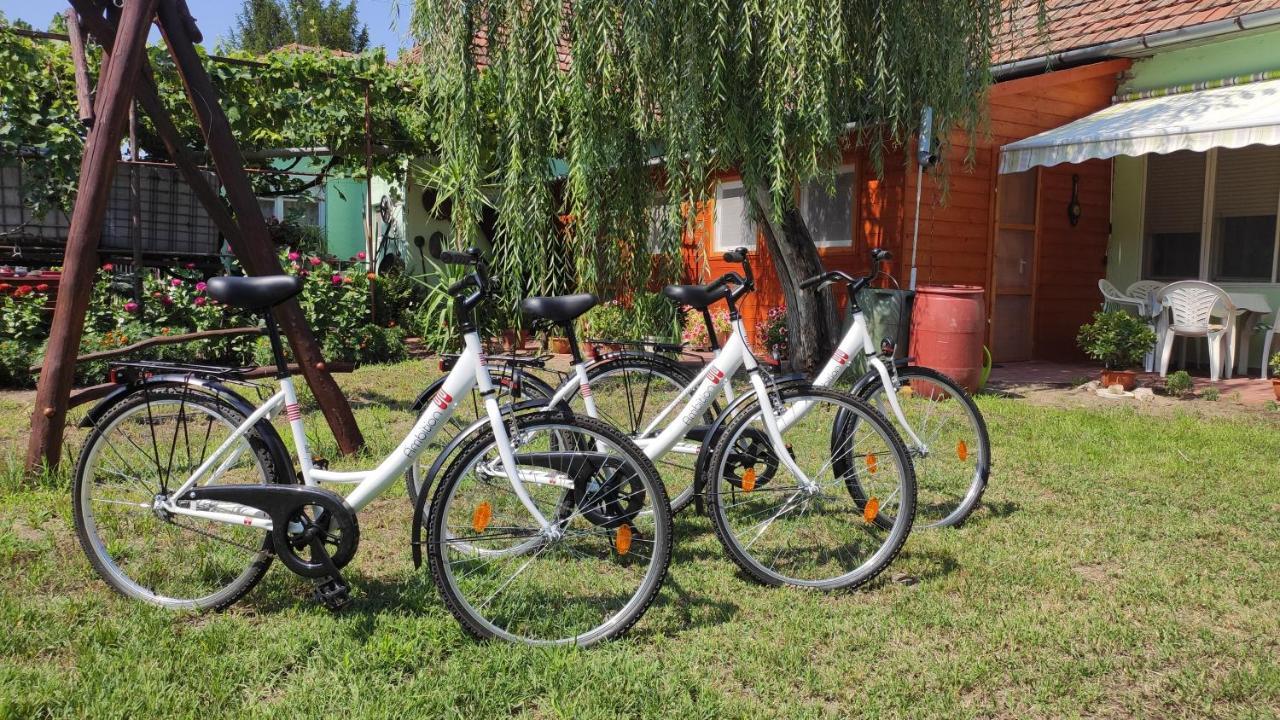 Opusztaszeri Mozes Vendeghaz Hotel Zewnętrze zdjęcie
