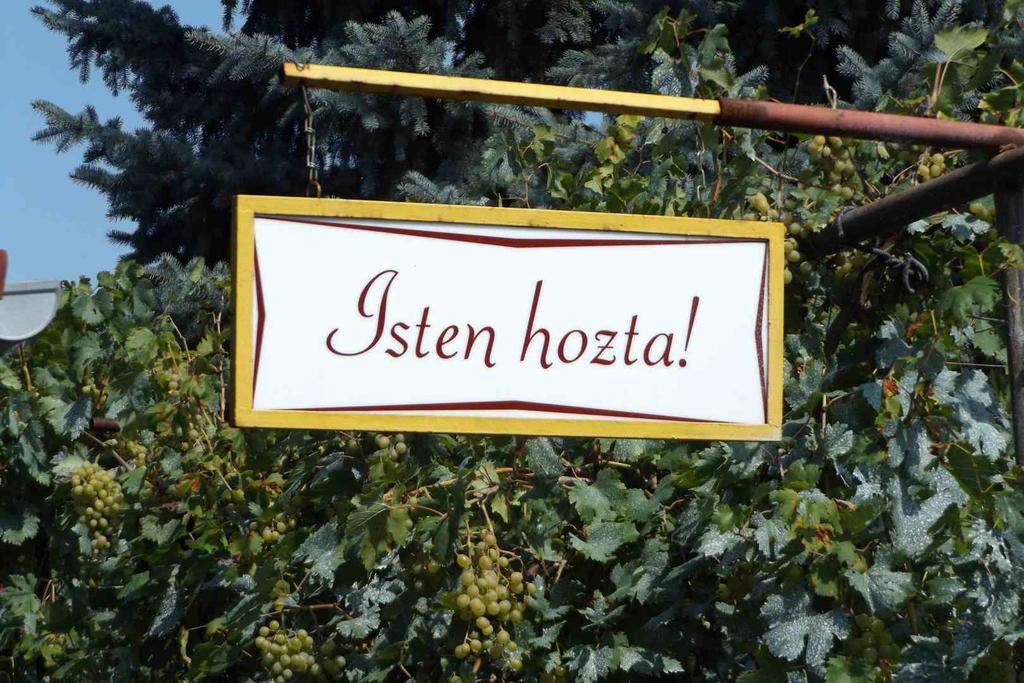 Opusztaszeri Mozes Vendeghaz Hotel Zewnętrze zdjęcie